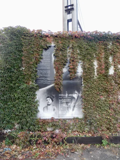 Panneau envahi par la vigne vierge