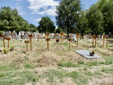 Espace d'inhumations prises en charge par le "collectf des morts sans toi"