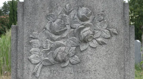 Bouquet de roses