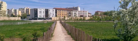Moulin à Vent