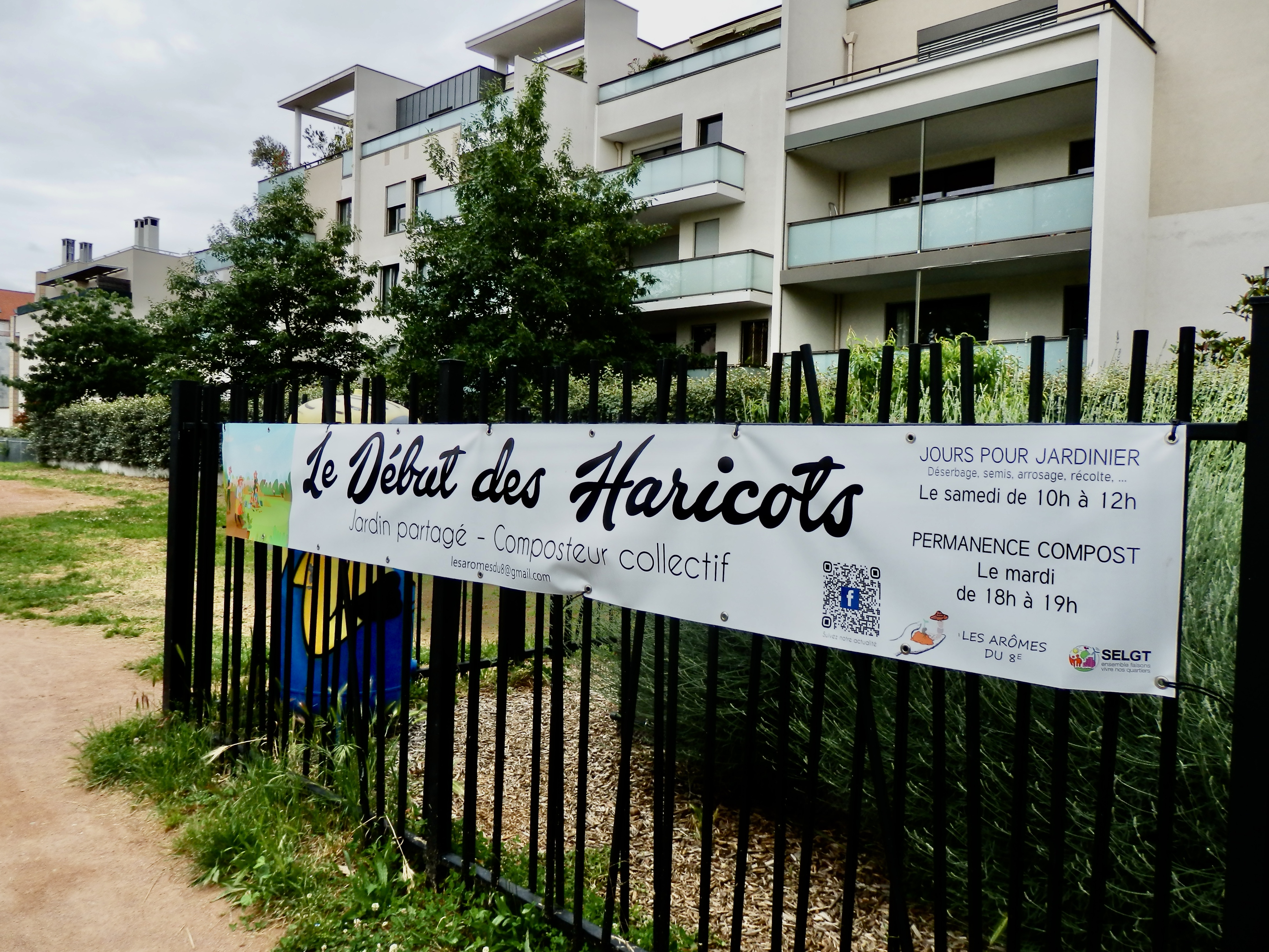 Le Début des Haricots