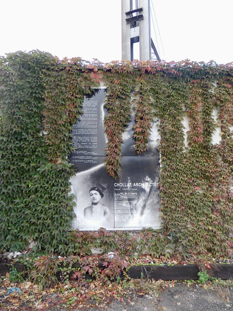 Panneau envahi par la vigne vierge