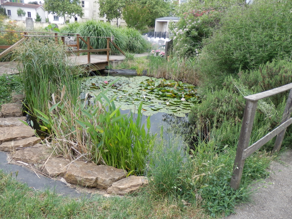 Une des 2 mares avec poissons du cimetière