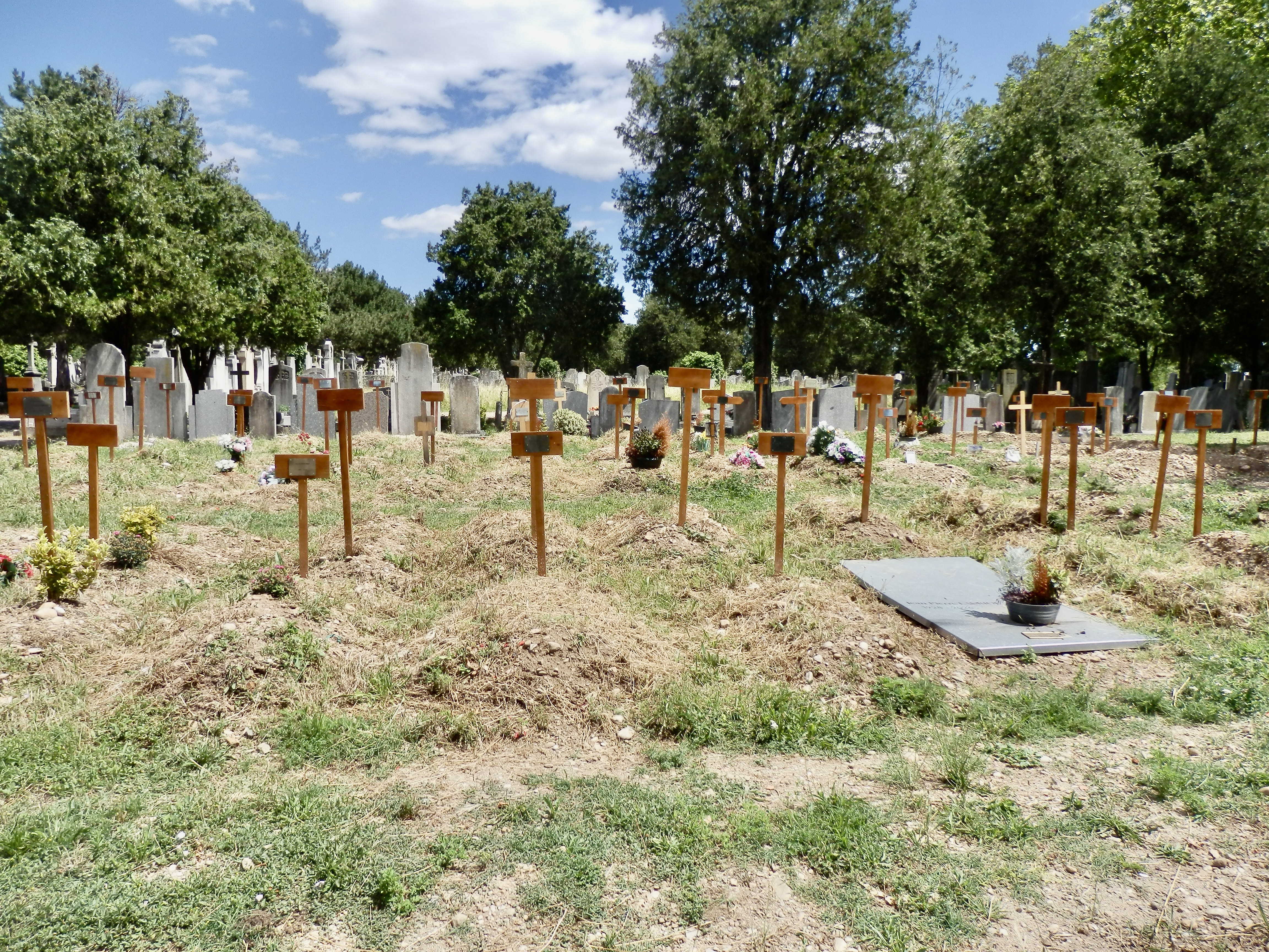 Espace d'inhumations prises en charge par le "collectf des morts sans toi"